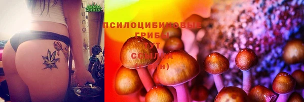 гидра Навашино