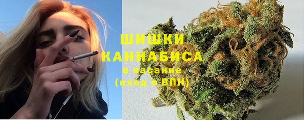 гидра Наволоки