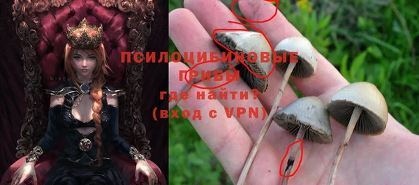 гидра Навашино