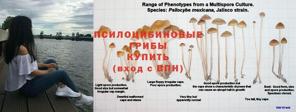 синтетический гашиш Михайлов