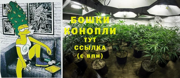 дурь Надым