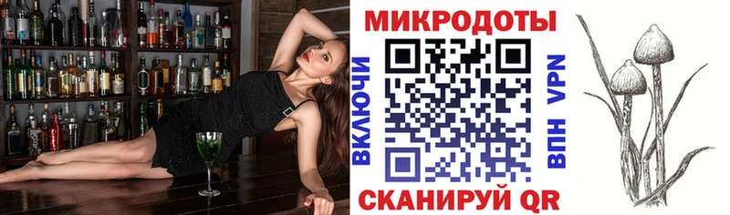 Галлюциногенные грибы Psilocybine cubensis  Новодвинск 