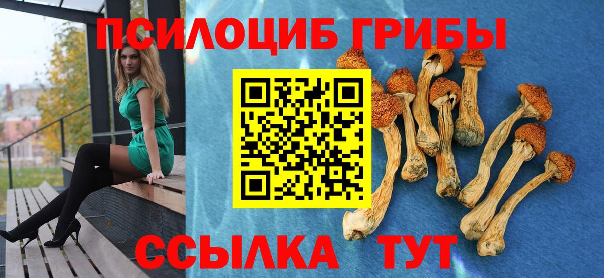 Псилоцибиновые грибы Magic Shrooms Новодвинск