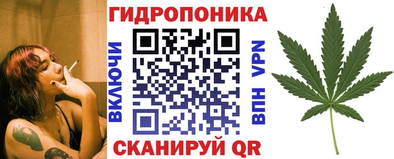 Шишки марихуана конопля  Новодвинск 